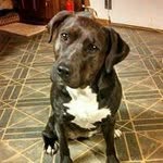 Sean Pendell - @seanpendell - Instagram