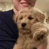 Seanpeppers - @bbrowrwtekt - TikTok
