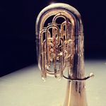 Sean Perdue - @tuba_bean - Instagram