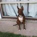 Sean Perrin - Facebook