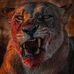Sean Petterson - Facebook