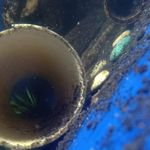 I'm Sean Pfeifer - @sean_pfeifer11 - Instagram