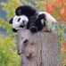 Sean Phan - Facebook