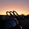 Sean - @sean.wilson_ - TikTok