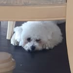 sean - @sean_pickard13 - Instagram