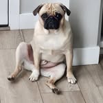 Sean Pickett - @seanpickett54 - Instagram