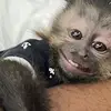 Sean Plata - @sean.plata1 - TikTok