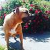 Shaun Pound McDowell - Facebook