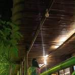 Sen Priti - Facebook