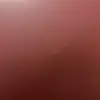 Sean Rafe - @sean.rafe - TikTok