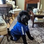 Sean Rafuse - @seansedley - Instagram