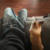 Sean - @sean.barajas - TikTok