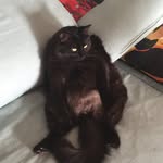 Sean Ramey - @sassytinat - Instagram