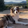 Sean Ramey - @sean.ramey0 - TikTok