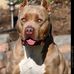 Sean Randle - Facebook
