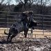 Sean Randle - Facebook