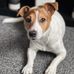 Sean Rayner - Facebook