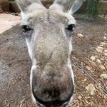 Sean Rinehimer - @sean_rinehimer - Instagram