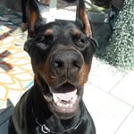 Sean Rodkey - @sjrodkey - Instagram