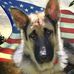 Shawn Rodkey - Facebook