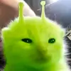 Sean roman - @seanseanromania - TikTok