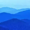 Sean Rosen - @sean.rosen8 - TikTok