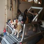 Sean Rosen - @sean.rosen.97.21 - Instagram