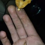 sean rowe - @s.e.a.n.r.o.w.e - Instagram