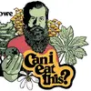 Sean Rowe - @canieatthiss - TikTok