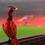 Sean - @sean_royle_68 - Instagram