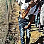 Seanroy le Roux II - @seanroyleroux - Instagram