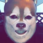SeanRoyle - @seanroylez - Instagram