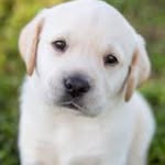 Sean Rubio - @sean.rubio649 - Instagram