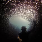 Sean Ruddiman - @seanruddiman - Instagram