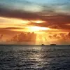laseanruffin863 - @laseanruffin863 - TikTok