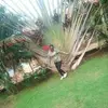 seanruth429 - @seanruth429 - TikTok