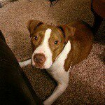 Sean Samples - @seans1280 - Instagram