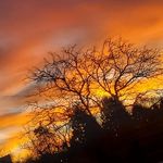 Sean Samuels - @shamuels4 - Instagram