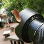 Sean Sandler - @sean_sandler_photography - Instagram