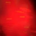 Sean Sands - @sands745.ss - Instagram