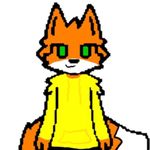 Sean Schuster - @flippydafox - Instagram