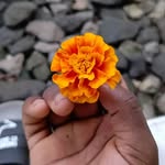 Sean Segera - @sean_segera - Instagram