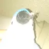 sean - @sean_seibelepic - TikTok