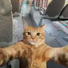 Seanseliger🛫🏢 - @seanseliger - TikTok