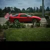 Sean Shelly - @sean_shelly - TikTok