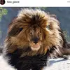 seanshellz3 - @seanshellz3 - TikTok