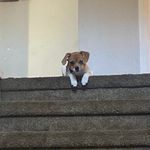 Sean Shepard - @seanshepard0614 - Instagram