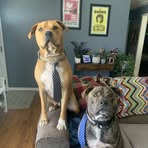Sean Shoemaker - Facebook