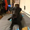Sean Shoemaker - @user2296943230619 - TikTok