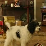 Sean Showalter - Facebook